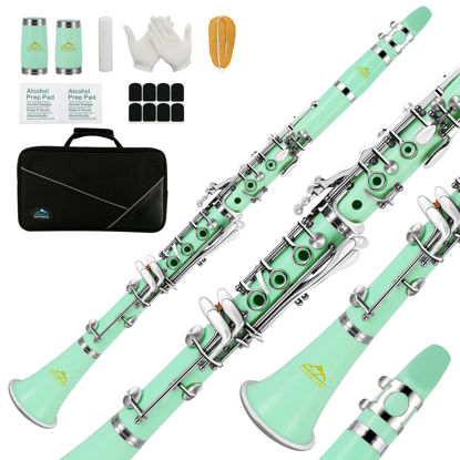 Picture of EASTROCK Clarinet Bb Flat 17 Nickel Keys Green Beginner Clarinet for Student with 2 Barrels Hard Clarinet Cas and Clarinet Cleaning Kit.
