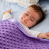 Picture of Pro Goleem Baby Soft Minky Dot Blanket with Silky Satin Backing Baby Gifts for Boys and Girls (Purple, 30’’ x 40’’)