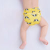 Picture of Potty Training Underwear Boys Toddler Training Underwear Boys Potty Training Underwear Training Pants 3t-4t Boys Training Underwear Training Underwear for Boys