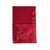 Picture of Pro Goleem Baby Soft Minky Dot Blanket with Silky Satin Backing Baby Gifts for Boys and Girls (Red, 30’’ x 40’’)