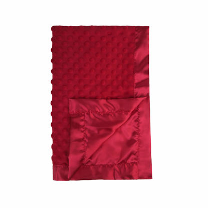Picture of Pro Goleem Baby Soft Minky Dot Blanket with Silky Satin Backing Baby Gifts for Boys and Girls (Red, 30’’ x 40’’)