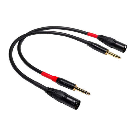 Picture of Suanqi 024 1/4 Inch TRS to XLR Male Cable, Balanced 6.35mm TRS Plug to 3-pin XLR Male, Quarter inch TRS Male to XLR Male Microphone Cable (1FT)