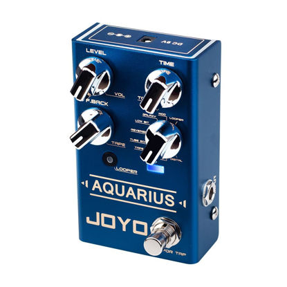 Picture of JOYO Digital Delay Effect Pedal with Looper (5 Minutes) R Series 8 Digital Delay Effects for Electric Guitar (Aquarius R-07)
