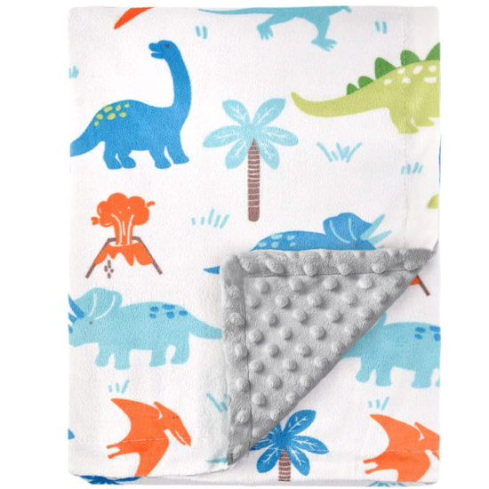 Picture of HOMRITAR Baby Blanket for Kids Super Soft Minky Blanket with Dotted Backing, Toddler Blanket with Dinosaurs Multicolor Printed 30 x 40 inch (75 x 100 cm)