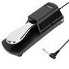 Picture of FZONE Sustain Pedal for MIDI Keyboards Digital Pianos Foot Pedal 6.6FT Extension Cable, Polarity Switch