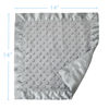 Picture of American Baby Company Heavenly Soft Chenille Security Blanket, 2-Layer Design with Minky Dot & Silky Satin, Gray, 14" x 14" for Boys and Girls