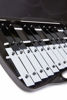 Picture of RAONZENA Professional Xylophone 25note, Glockenspiel,Xylophone for kids,Xylophone for gift,Glockenspiel that learns the basics of music (25note piano)
