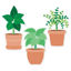 Picture of CTP Potted Plants 6" Cut-Outs Learning Décor Accents for Classroom (Creative Teaching Press 10597)