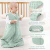 Picture of FILLEEP Fleece Baby Sleep Sack 12-18 Months 2.5 Tog with Plush Dots, Winter Baby Wearable Blanket for Infant Toddler Sleeping Sack 2-Way Zipper Warm Sleep Sack, Green