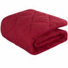 Picture of NTBAY Down Alternative Oversized Toddler Comforter, Super Soft and Warm Solid Color Baby Crib Quilted Blanket, 43x60 inches, Red
