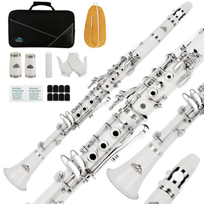 Picture of EASTROCK Clarinet Bb Flat 17 Nickel Keys White Beginner Student Clarinet with 2 Barrels Hard Clarinet Case and Clarinet Cleaning Kit.