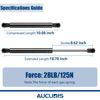 Picture of C16-21220 18 inch 28lb/125N Gas Strut Shock Lift Support Spring for Leer Camper Shell Truck Topper Cap Canopy Door Window Toolbox Snugtop Replacement Parts, C1621220, Set of 2 by AUCLIDIS