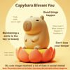 Picture of FAMIDUO Capybara Cute Night Light, LED Squishy Novelty Animal Night Lamp, 2 Levels Dimmable Nursery Bedroom Nightlight for Kids, Rechargeable Touch Lamp, Dorm Decor, Baby Boys Girls Gifts
