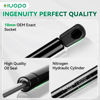 Picture of 232076 201237 10 Inch 25Lb/111N Gas Strut Shocks Spring Lift Support for Truck Pickup Tool Box Lid RV Overhead Cabinet Door Toy Toolbox Cover Boat Replacement Parts, Set of 2 by HUOPO