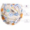 Picture of Potty Training Underwear Boys Reusable Training Pants Toddler Training Underwear Boys Potty Training Underwear Potty Training Pants Boys 2t Boys Training Underwear