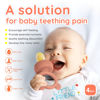 Picture of LittlesJoy Silicone Baby Fruit Feeder & Freezer Tray Set, Silicone Baby Fruit Food Feeder for Safe Infant Self Feeding, BPA Freefor 3 Month+, Additional Silicone Pouches (Muted)