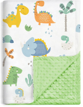Picture of HOMRITAR Baby Blanket for Boys Girls Super Soft Minky Blanket with Dotted Backing, Toddler Blanket with Dinosaurs Multicolor Printed 30 x 40 Inch