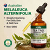 Picture of KUKKA Tea Tree Essential Oils - 4 Fl Oz - for Hair, Skin, Diffuser, Aromatherapy & DIY Soap Making Scent