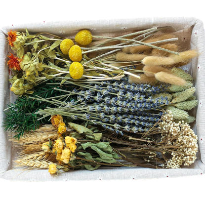 Picture of xin's convey DIY Natural Dried Flower Set, Bulk Dried Flowers for Vase, Dried Flowers with Stems, Dried Roses, Mini Dried Flower Bouquets.(Brown)