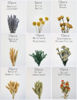 Picture of xin's convey DIY Natural Dried Flower Set, Bulk Dried Flowers for Vase, Dried Flowers with Stems, Dried Roses, Mini Dried Flower Bouquets.(Brown)