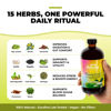 Picture of Serene Herbs - Soursop Bitters Liquid - Organic Herbal Guanabana Detox with Black Seed, Moringa & Ginger - Supports Digestive Wellness & Immune Function - 16 fl oz