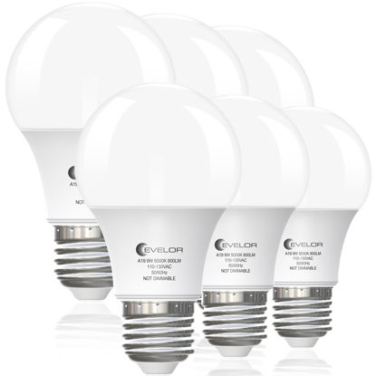 Picture of evelor 6-Pack A19 LED Light Bulbs,60 Watt Equivalent Daylight 5000K with E26 Base,Efficient 9W,800 Lumens Non-Dimmable LED Bulbs,15000 Hours, Ideal for Bedroom Living Room