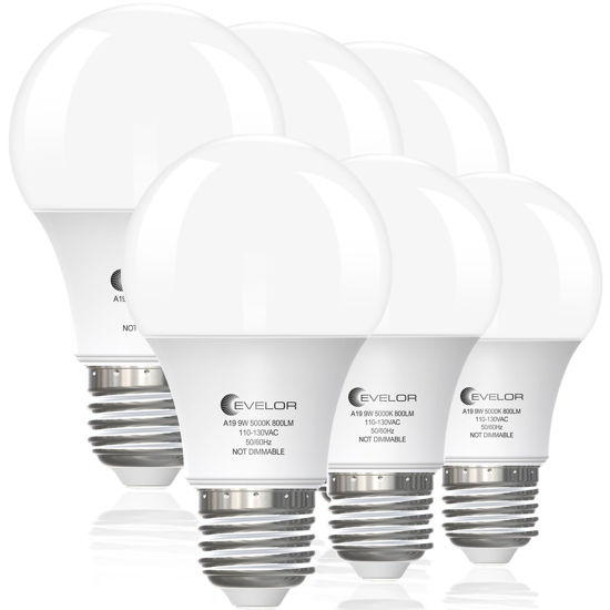 Picture of evelor 6-Pack A19 LED Light Bulbs,60 Watt Equivalent Daylight 5000K with E26 Base,Efficient 9W,800 Lumens Non-Dimmable LED Bulbs,15000 Hours, Ideal for Bedroom Living Room