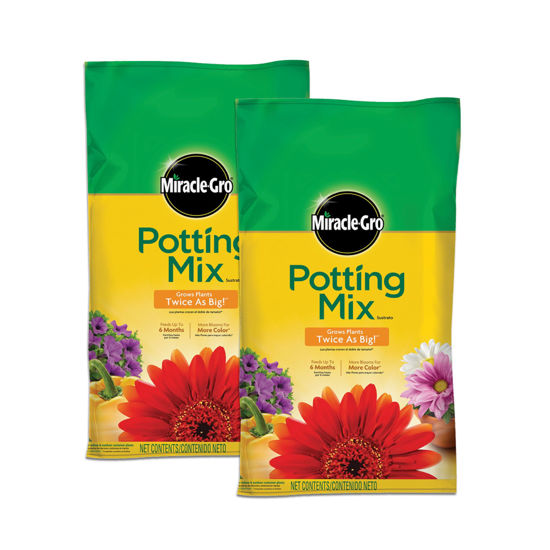 Picture of Miracle-Gro Potting Mix, For Container Plants, Flowers, Vegetables, Shrubs, Annuals, Perennials, Feeds up to 6 Months, 8 qt., 2-Pack