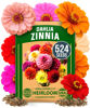 Picture of HOME GROWN Zinnia Dahlia Seeds Pack for 2026 Non GMO 524 Flower Seeds | Vibrant Zinnia Elegans for Pollinator Gardens, Borders & Containers | Easy-to-Grow Outdoor Blooms