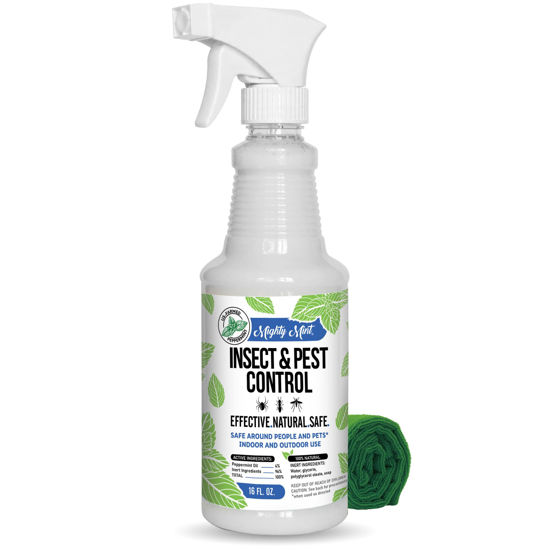 Picture of Mighty Mint Peppermint Oil Insect Repellent Spray - Indoor & Outdoor Bug Control for Spiders, Ants, Roaches, and More - Plant-Based, Extra-Strong Formula - 16 oz