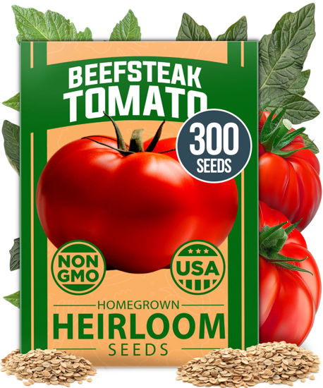 Picture of HOME GROWN Beefsteak Tomato Seed Pack - 300 Heirloom Tomato Seeds for Planting Outdoors High-Yield Non-GMO Vegetable Seeds for Growing Large, Meaty Tomatoes for Summer Dishes (Solanum lycopersicum)