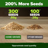 Picture of HOME GROWN Beefsteak Tomato Seed Pack - 300 Heirloom Tomato Seeds for Planting Outdoors High-Yield Non-GMO Vegetable Seeds for Growing Large, Meaty Tomatoes for Summer Dishes (Solanum lycopersicum)
