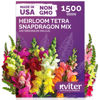 Picture of KVITER 1,500 Tetra Mix Snapdragon seeds (Antirrhinum Majus) - Heirloom & Organic Tall Snap Dragon Mix, Annual Flower Garden seeds, Cut Flower Seeds for Planting - Ideal for Outdoor Garden & Containers
