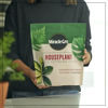 Picture of Miracle-Gro Houseplant Potting Mix: Fertilized, Perlite Soil for Indoor Gardening, Designed to Be Less Prone to Gnats, 4 qt.