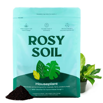 Picture of Rosy Soil Indoor Potting Soil for House Plants - Organic Potting Soil Mix for Indoor Plants - Enriched w/Root-Boosting Biochar for Foliage Plants, Flowers, Herbs - Peat Free, Less Prone to Gnats - 4qt