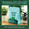 Picture of Rosy Soil Indoor Potting Soil for House Plants - Organic Potting Soil Mix for Indoor Plants - Enriched w/Root-Boosting Biochar for Foliage Plants, Flowers, Herbs - Peat Free, Less Prone to Gnats - 4qt