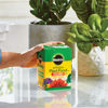Picture of Miracle-Gro Water Soluble All Purpose Plant Food, For All Indoor or Outdoor Plants, Roses, Flowers, Vegetables, Houseplants, Trees, and Shrubs, 1.5 lbs