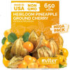 Picture of KVITER 650 Aunt Molly Ground Cherry Seeds for Planting (Physalis pruinosa) - Non GMO & Heirloom Pineapple Ground Husk Cherry Tomatoes, Organic Fruit Seeds - Tropical Flavor Berries