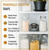 Picture of Dr. Killigan's Premium Double Potent Pantry Moth Traps with Pheromones Prime, Sticky Indian Meal Moth Traps for Kitchen, How to Get Rid of Moths in House (6 Pack, Black)