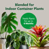 Picture of Miracle-Gro Indoor Potting Mix, Blended for a Variety of Houseplants, Feeds for up to 6 Months, 6 qt., 2-Pack
