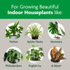 Picture of Miracle-Gro Indoor Potting Mix, Blended for a Variety of Houseplants, Feeds for up to 6 Months, 6 qt., 2-Pack
